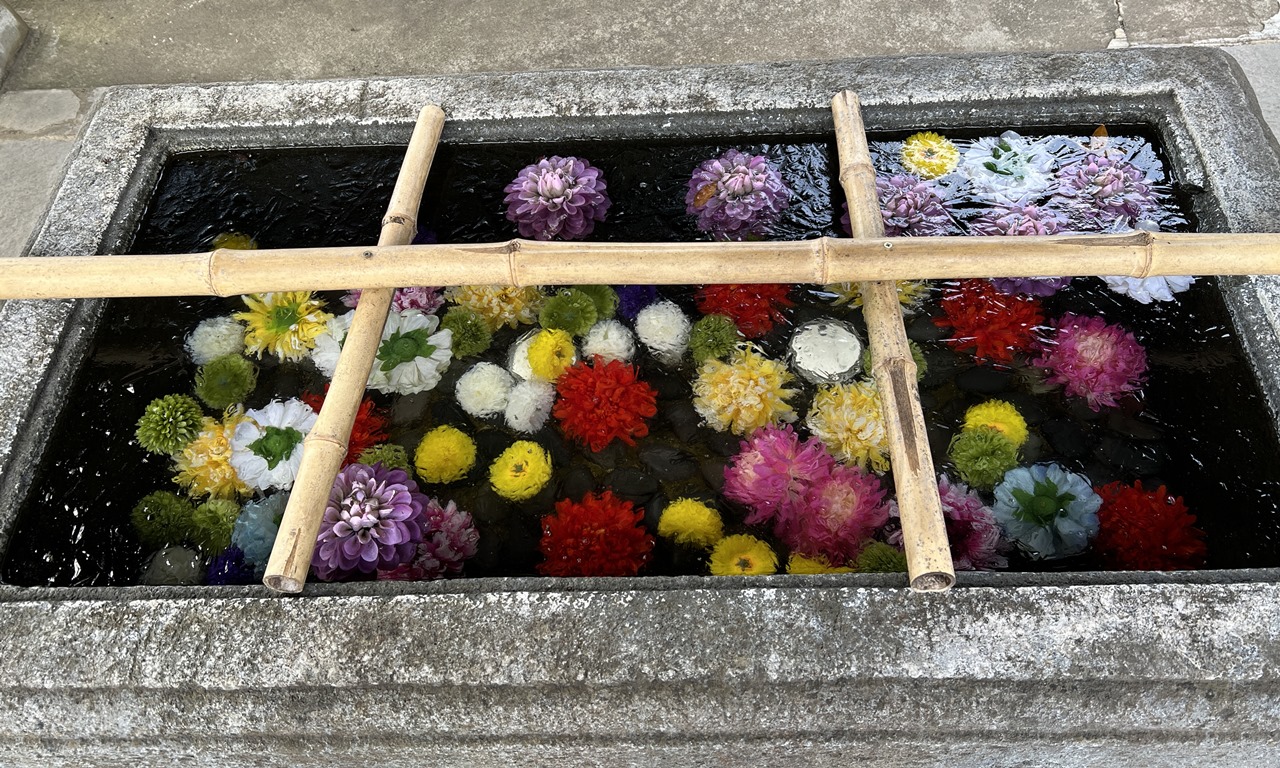 【大田原神社の手水盥】花を水に沈めるセンスに脱帽