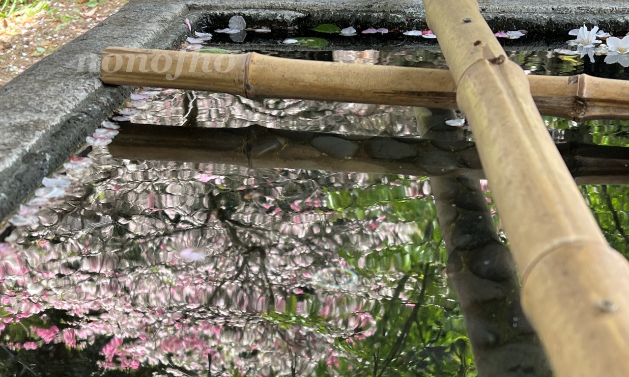 【萌黄色】桜も散って、いよいよ新緑の季節が到来