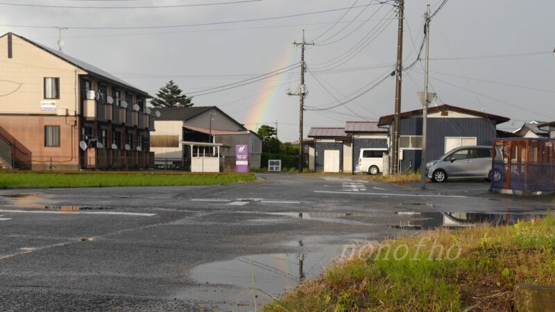 【強い雨対策】ペットボトルで小さな苗を保護する