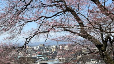【桜の開花】遅いと感じるのは、３月が寒かったせいもあるかも知れない